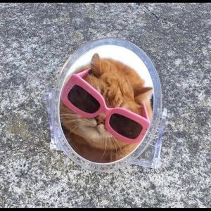 Meet your Posher, Lia